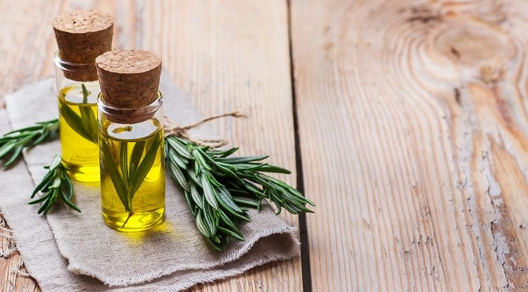Natural rosemary essential oil for beauty and spa